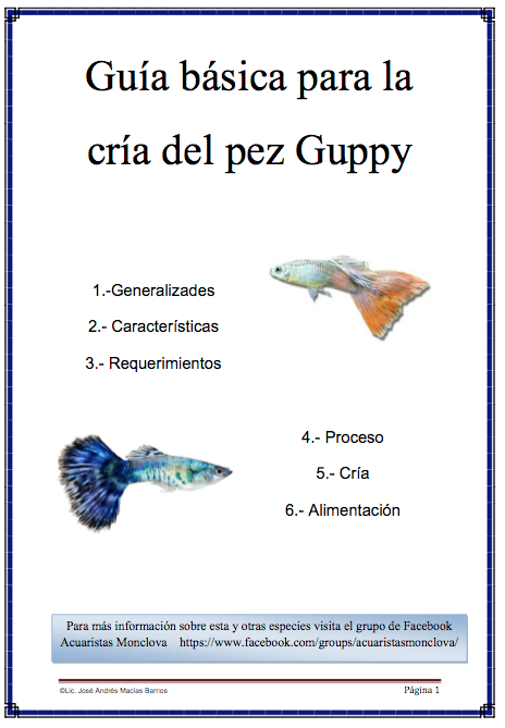 Guía básica para reproducción de Guppys