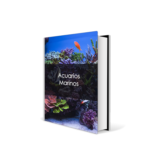 book btn acuariosmarinos