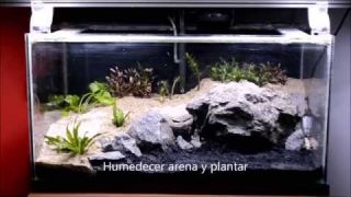 Cómo hacer acuario plantado | paso a paso [HD]