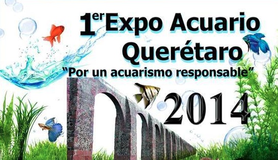1er Expo Acuario Querétaro